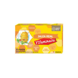 Arko Jalea Real Vitaminada 20 Ampollas